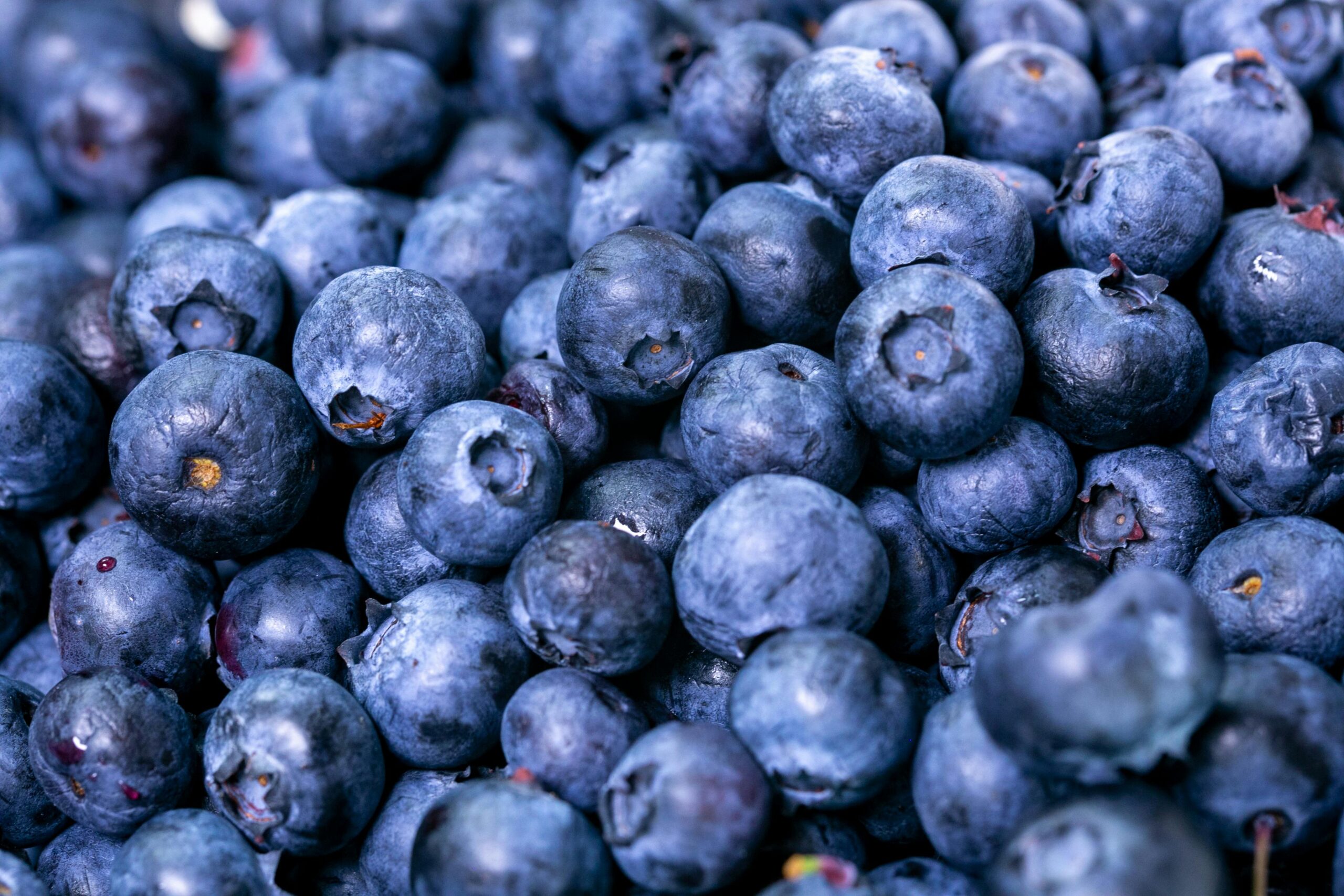 Blueberries Spiritual Meaning